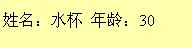 2010-12-29_182116
