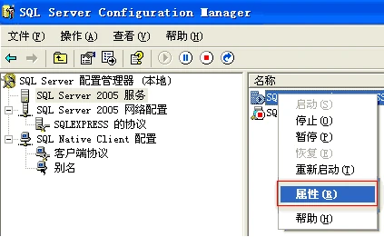 2010-12-30_105935