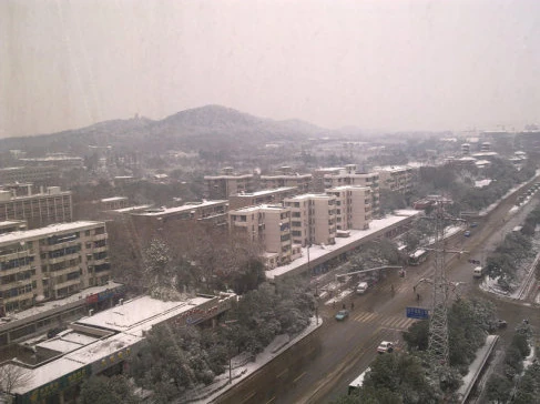 2010-12-31_104421