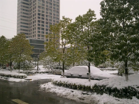 2010-12-31_104545