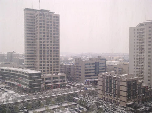 2010-12-31_104606