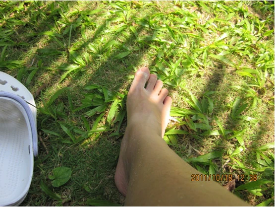 2011-11-05_110025