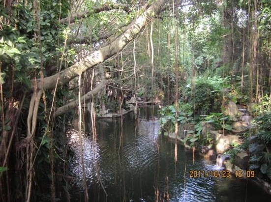 2011-11-05_121554