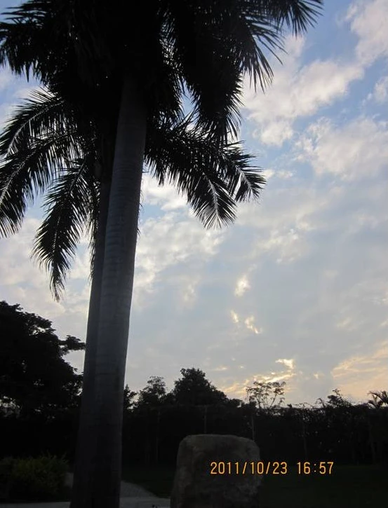 2011-11-05_121832