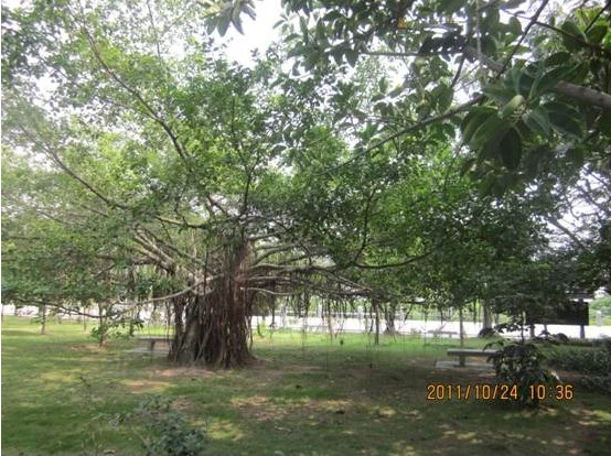 2011-11-05_122056